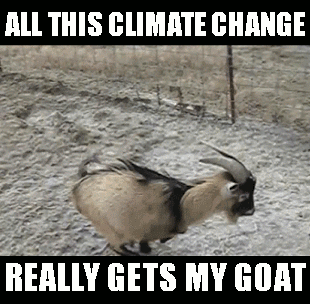 goat ice mobile casino gif