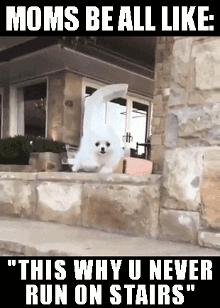 don't run on stair mobile casino tip